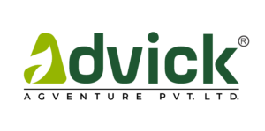 Advick png Color